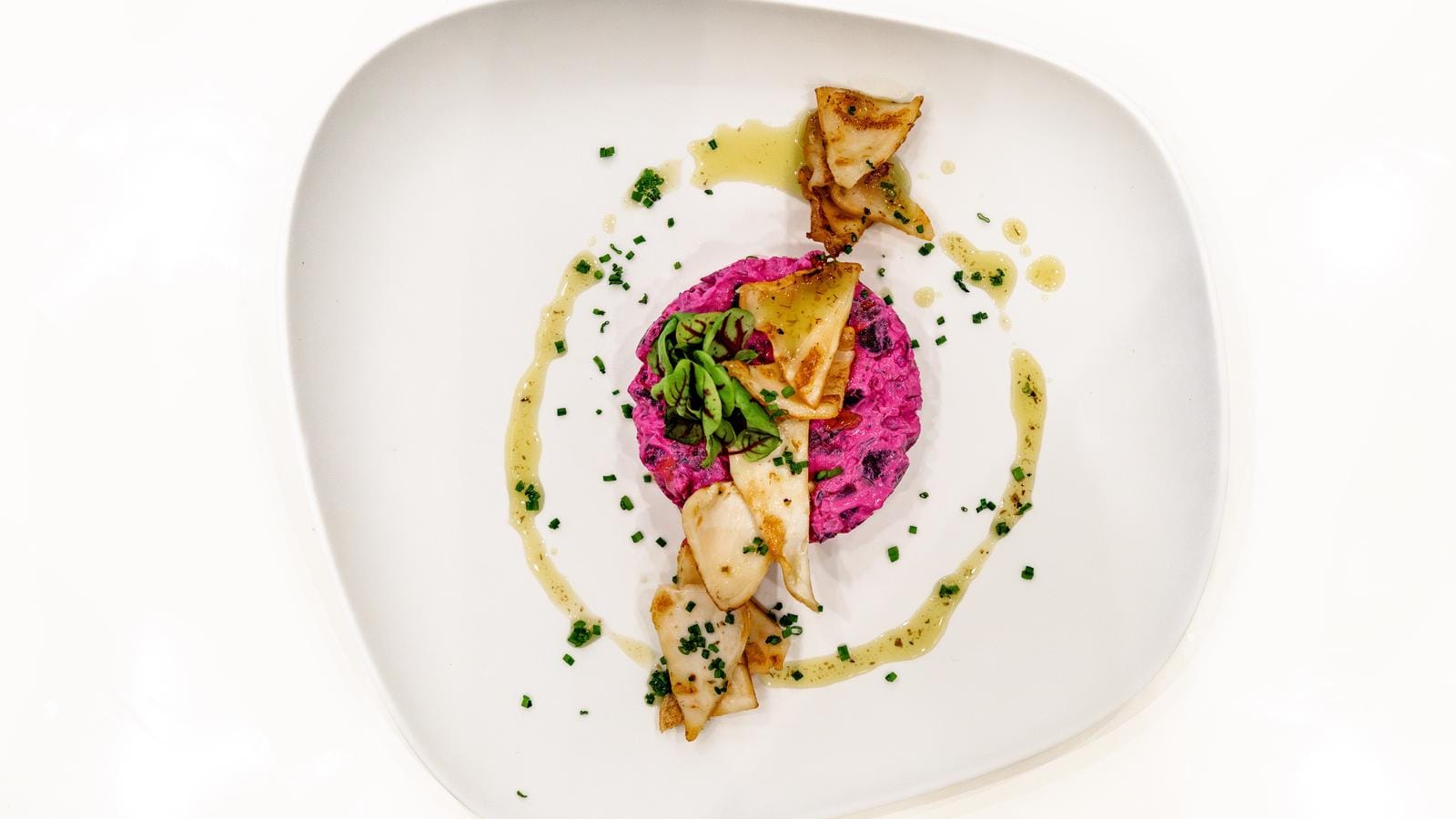 SANCTUARY-92-gallery