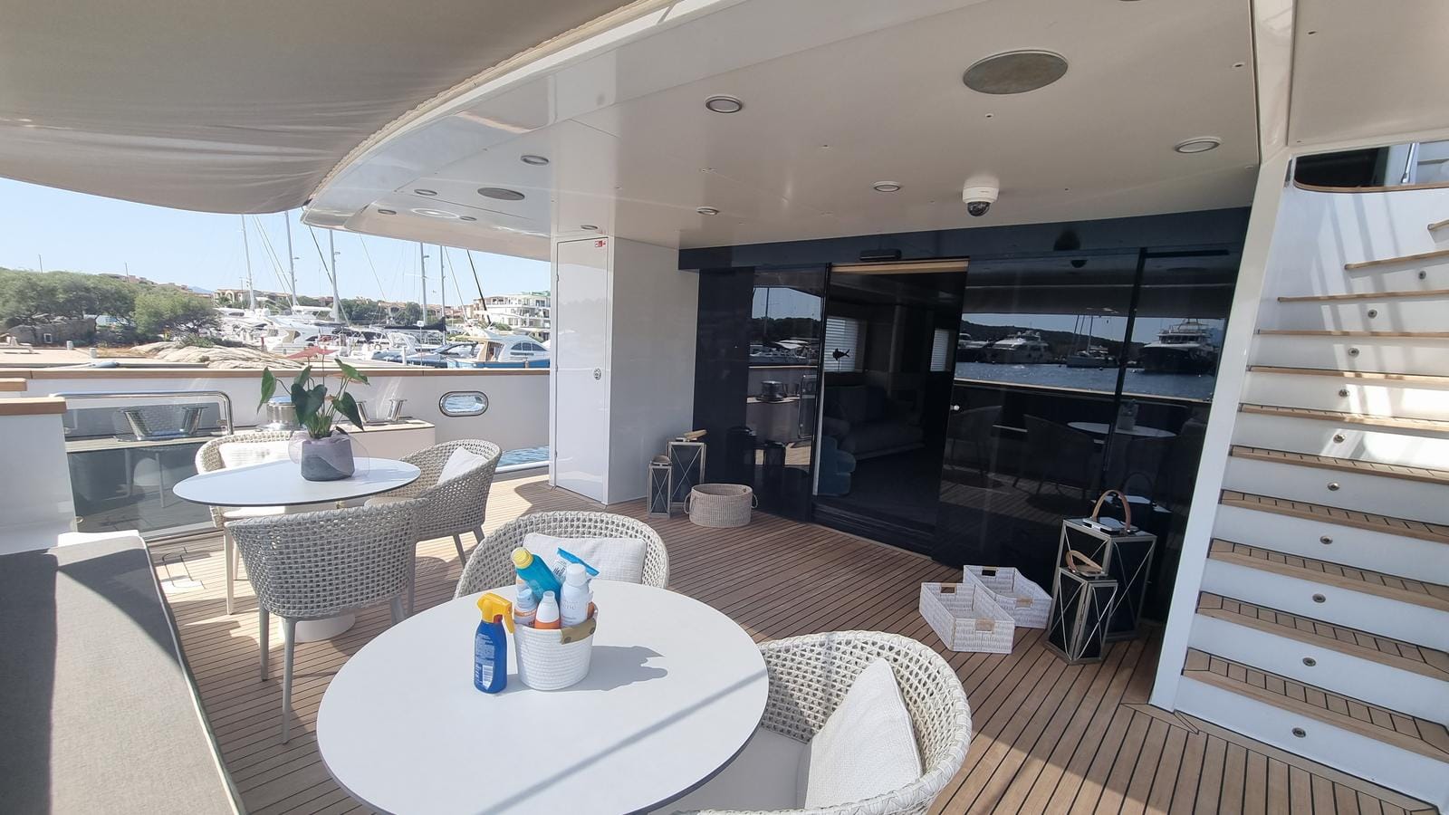 Tommy Belle-3-gallery