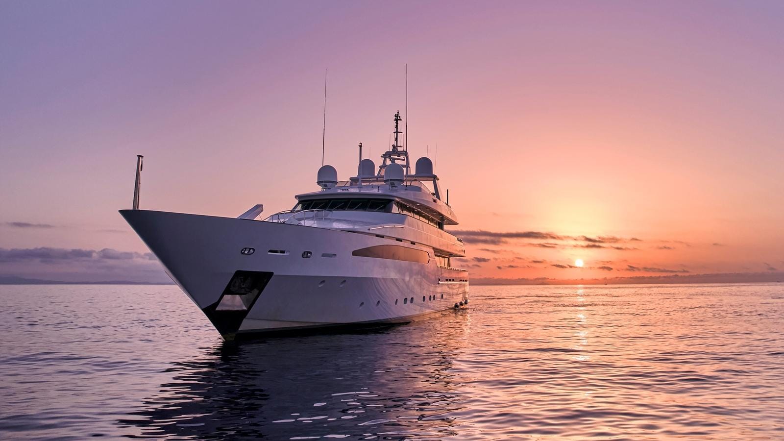  ARTEMISEA-72-gallery