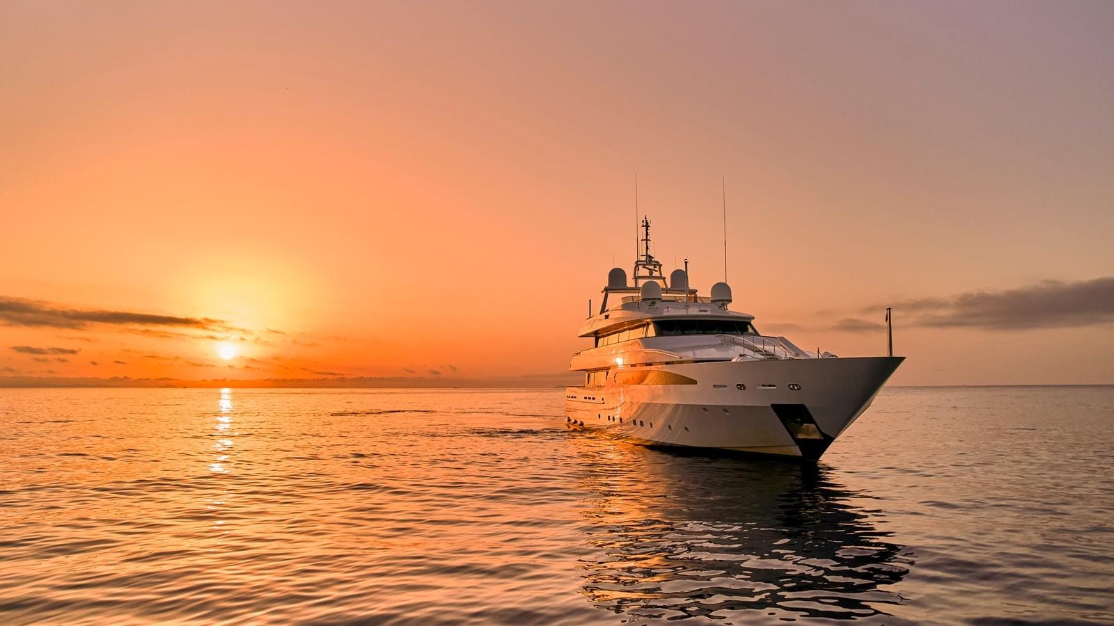  ARTEMISEA-75-gallery