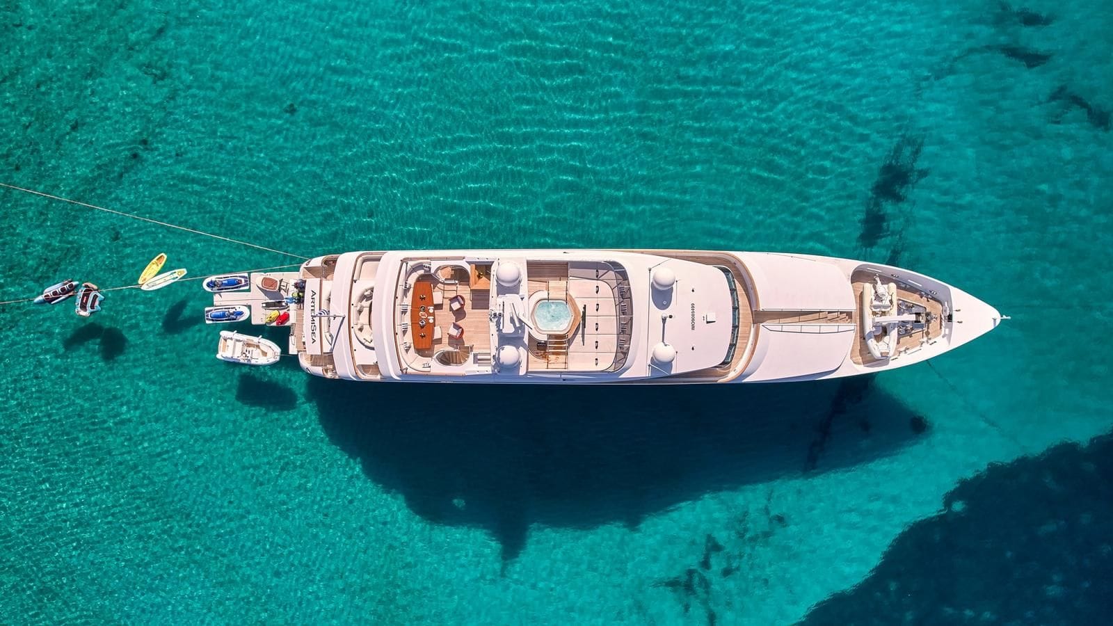  ARTEMISEA-59-gallery