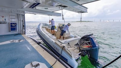 LAUREL-50-gallery-thumbnail