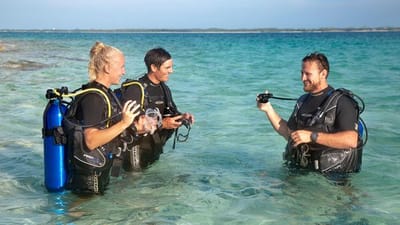 LAUREL-48-gallery-thumbnail