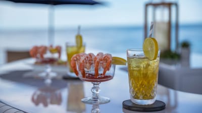 DESTINY-40-gallery-thumbnail