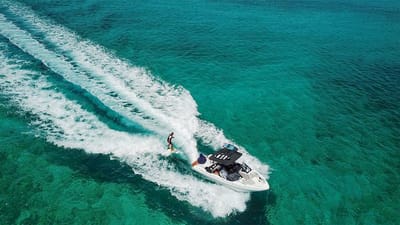 CARTE BLANCHE-60-gallery-thumbnail