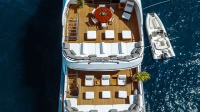 Lotus-5-gallery-thumbnail