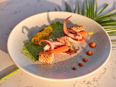 SAMELI-21-gallery-thumbnail