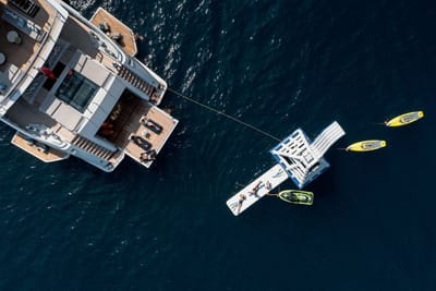 Lemon Tree-10-gallery-thumbnail