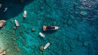 Wally M-18-gallery-thumbnail