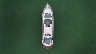 HABEAS ORCAS-9-gallery-thumbnail