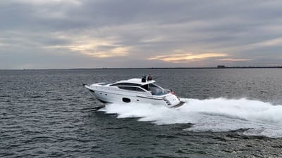 HABEAS ORCAS-6-gallery-thumbnail