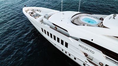 MOSKITO-68-gallery-thumbnail