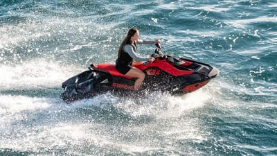 MOSKITO-60-gallery-thumbnail