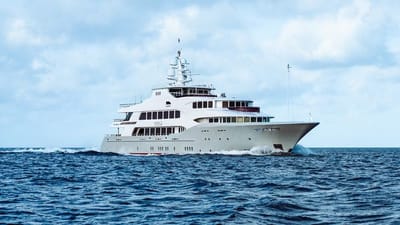 IRON BLONDE-2-gallery-thumbnail