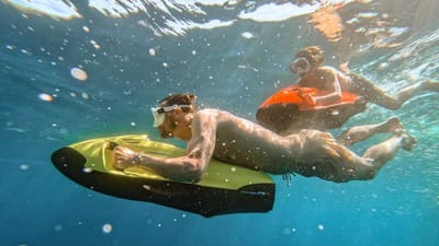 King Benji-64-gallery-thumbnail