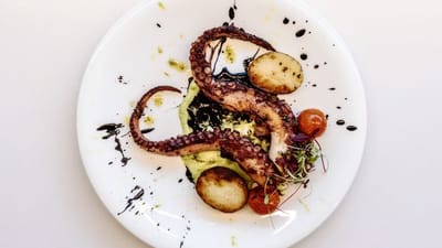 AT ONE-66-gallery-thumbnail