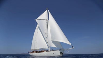 RHEA-1-gallery-thumbnail