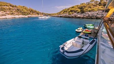 XIPHIAS-14-gallery-thumbnail