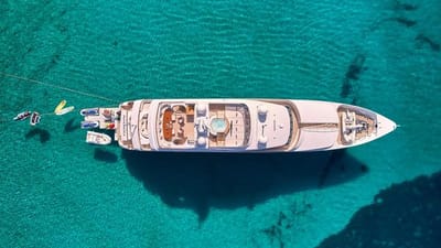  ARTEMISEA-59-gallery-thumbnail