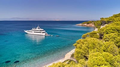  ARTEMISEA-63-gallery-thumbnail