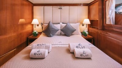 ELVI-24-gallery-thumbnail