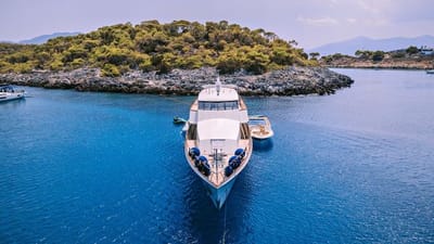 XIPHIAS-6-gallery-thumbnail