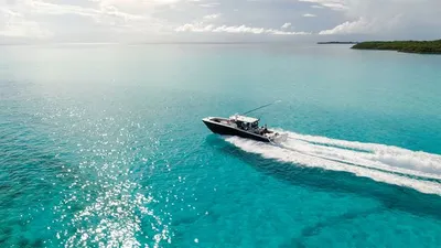 AS YOU WISH-64-gallery-thumbnail