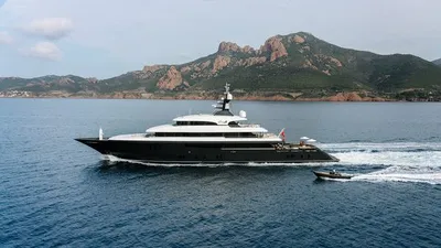 LOON-1-gallery-thumbnail