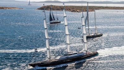 MALTESE FALCON-25-gallery-thumbnail