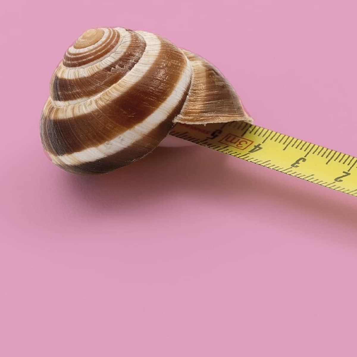 MJC24004 Marcel Broodthaers Led Raam Zichtbaar 2 0