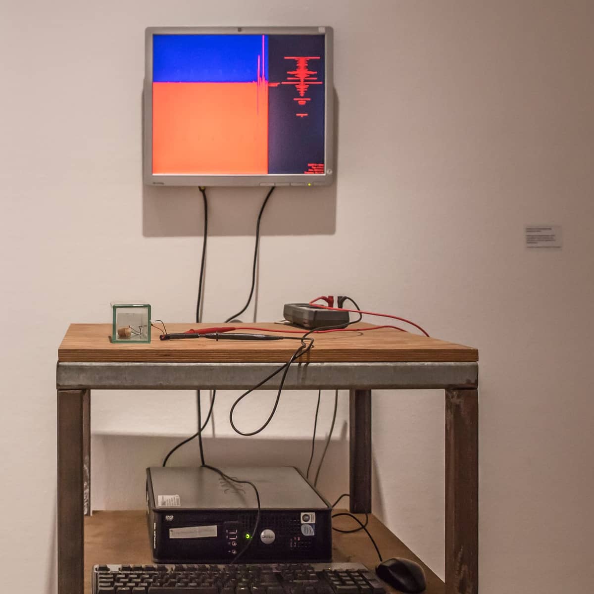 Loek Blonk Leven en laten leven 1 1