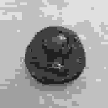 Placeholder for 20210413 100454