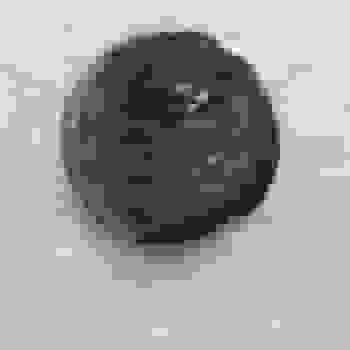 Placeholder for 20210413 100634