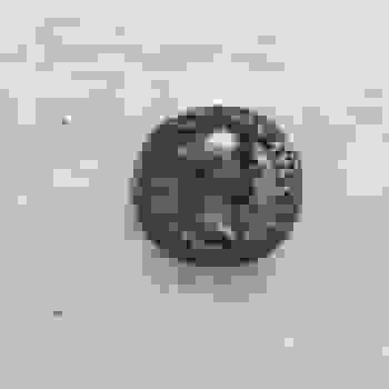 Placeholder for 20210413 100746