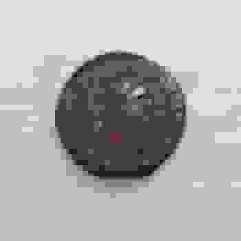 Placeholder for 20210413 101512