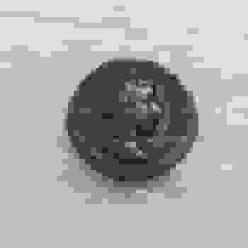 Placeholder for 20210413 101545