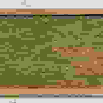 Placeholder for 4b4d8d0f ae45 4499 9128 8118284727cc