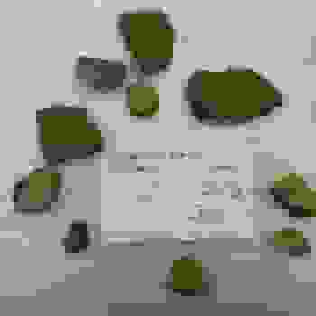 Placeholder for 5017c8b0 7004 45ca b712 9bd99bb059da