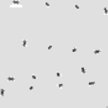 Placeholder for BK 000508 1