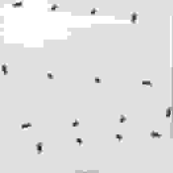 Placeholder for BK 000508 2
