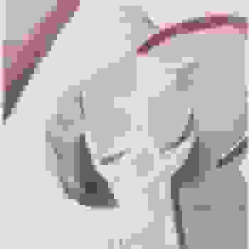 Placeholder for BK 00223
