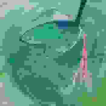 Placeholder for BK 00300