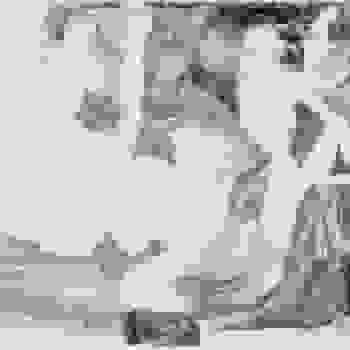 Placeholder for BK 48501