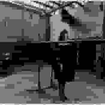 Placeholder for BK 56946