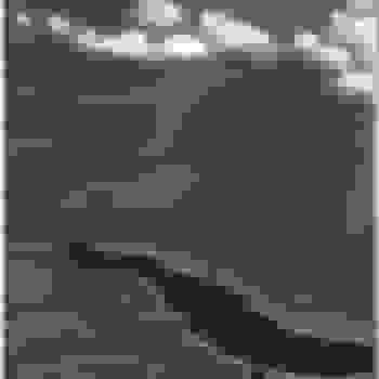Placeholder for BK 67073
