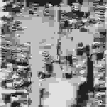Placeholder for BK 69321