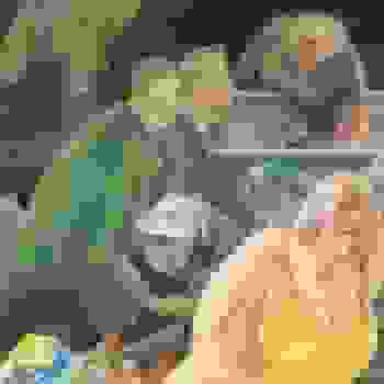 Placeholder for BK 72845