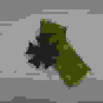 Placeholder for DSC03987