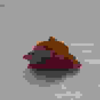 Placeholder for DSCN0809