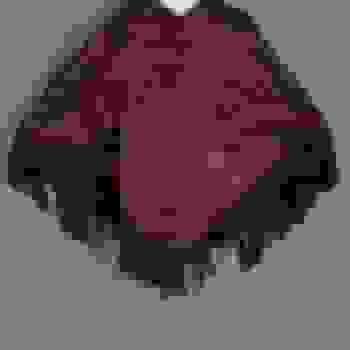 Placeholder for Hjc 0221 F